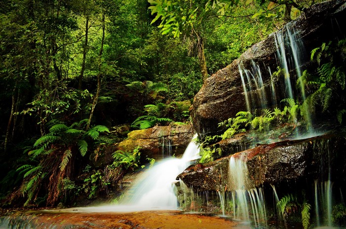 Waterfall cascading over rocks in a dense forest