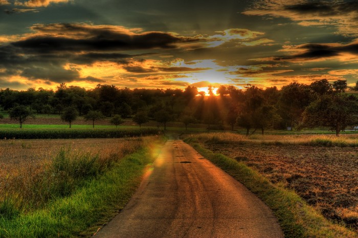 Road through fields at sunset in Germany