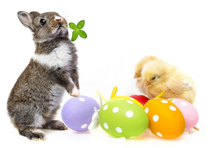 Easter Bunny with Chicks and Eggs