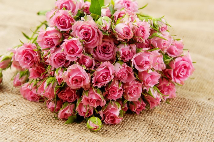 Bouquet of pink roses on burlap