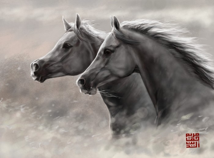 Two horses running in a field