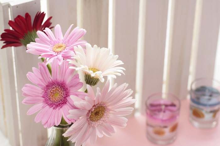 Gerberas in a vase with candles