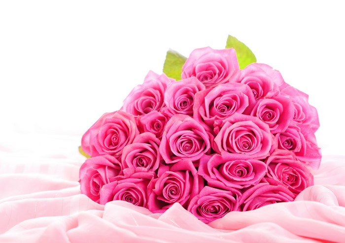 Bouquet of pink roses on pink fabric