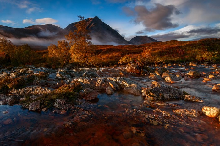 Mountain stream with autumn trees and mist in Scotland