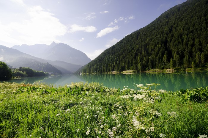 Lake and mountains with forest and grass