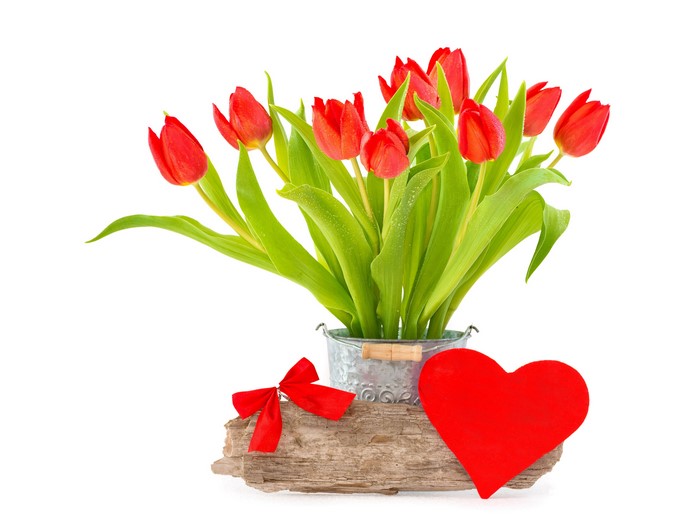 Red Tulips in a Bucket with Heart and Bow