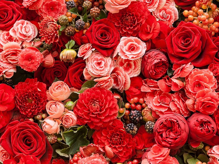 Vibrant Red Roses and Dahlias Floral Arrangement