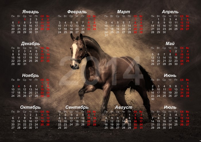 Horse and 2014 Calendar