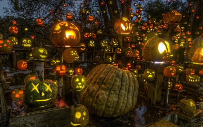 Glowing Halloween Pumpkins at Night