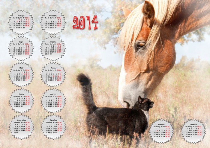 2014 Calendar with Horse and Cat