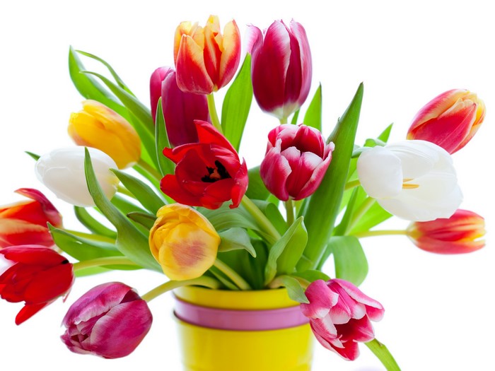 A bouquet of colorful tulips in a yellow vase