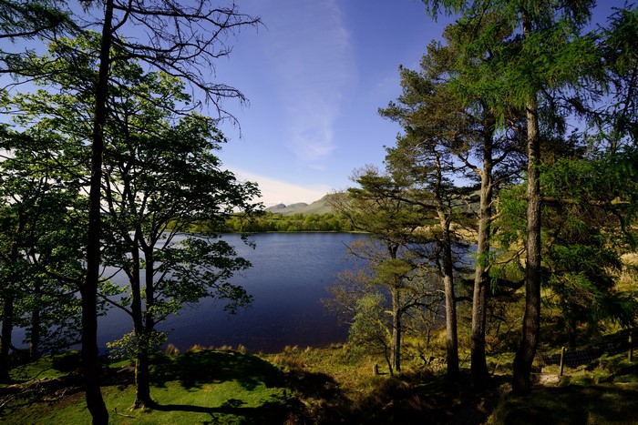 Lake and trees in Scotland