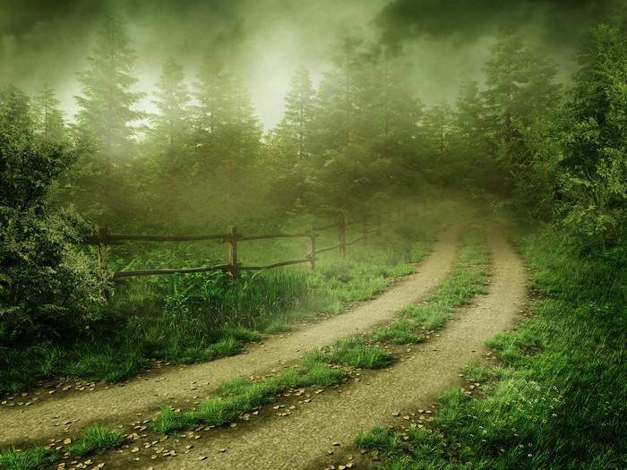Foggy Forest Road with Wooden Fence