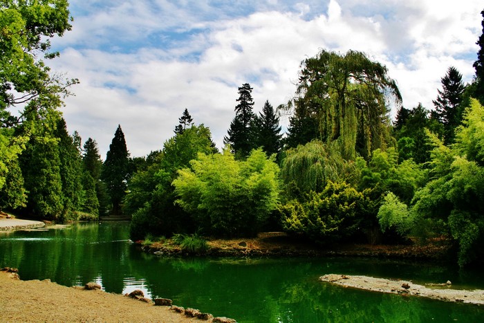 Portland Laurelhurst Park with River and Trees