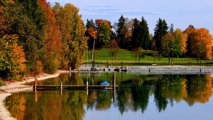 Autumn trees reflected in a lake at Rieden am Forggensee, Germany
