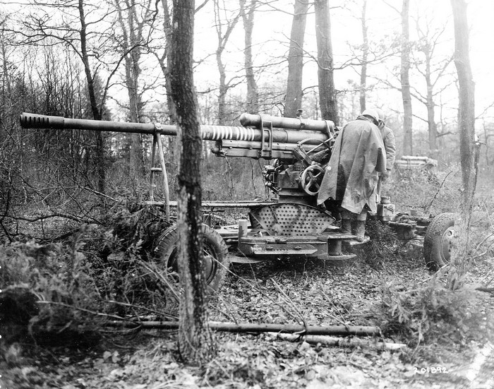 German Flak 39 anti-aircraft gun in forest