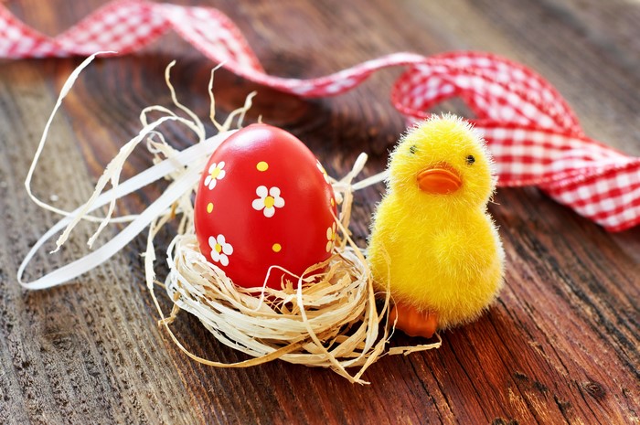 Easter chick and red egg in nest with ribbon