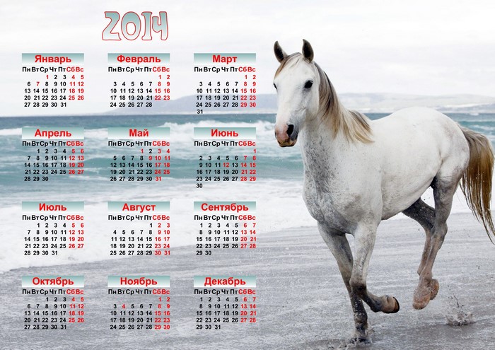 White horse on a beach with 2014 calendar