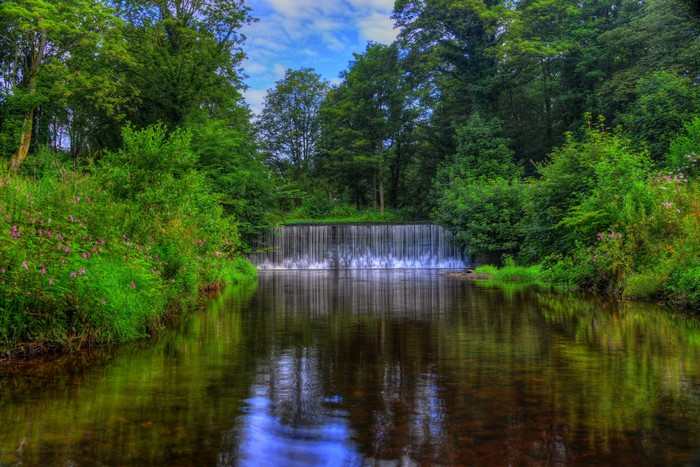 Waterfall in a forest with a river in England