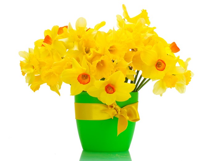 Bouquet of yellow daffodils in a green vase with a yellow bow