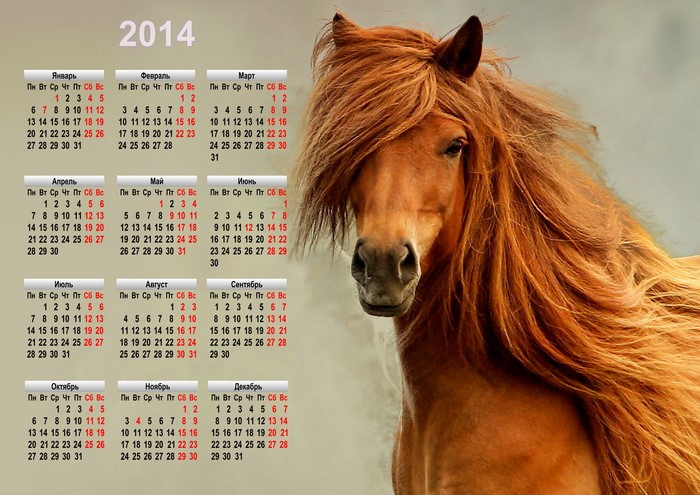 2014 Calendar with Horse