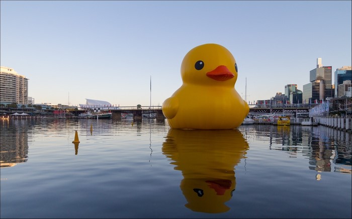 Giant rubber duck in Darling Harbour, Sydney, Australia