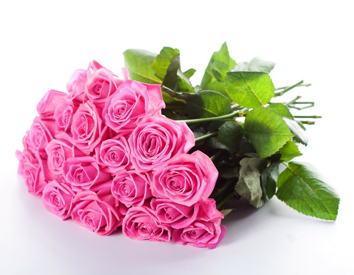 Bouquet of pink roses with green leaves