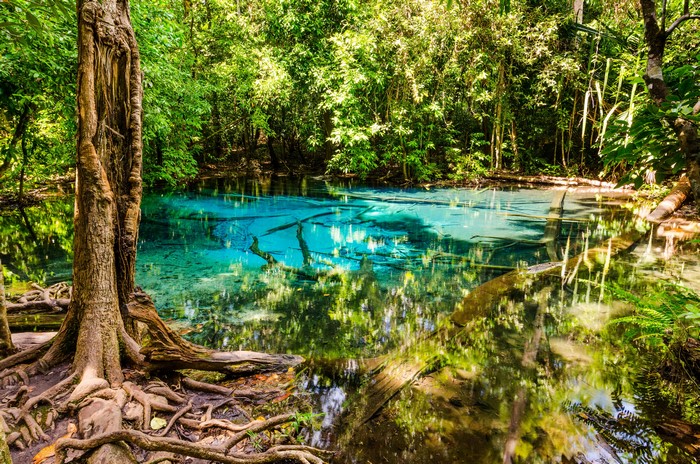 Blue Emerald Pool in a Tropical Forest