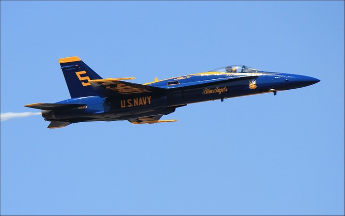 U.S. Navy Blue Angels Fighter Jet