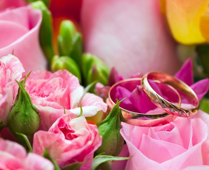 Gold Wedding Rings on Pink Roses