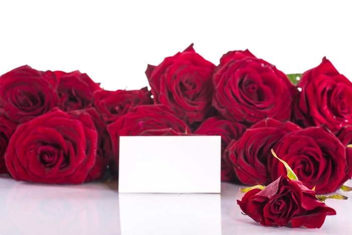 Red Roses with a Blank Card