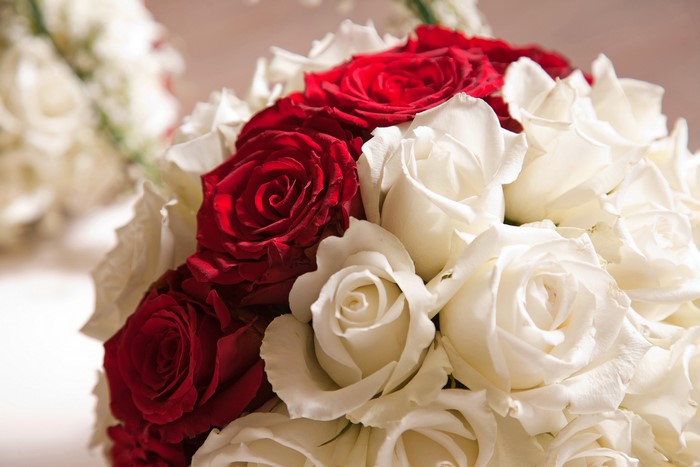 Red and white roses bouquet