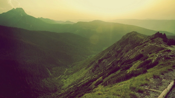 Mountain range with sunbeams and forest valley