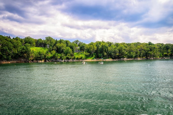 Sailboats on a River near Portland, USA