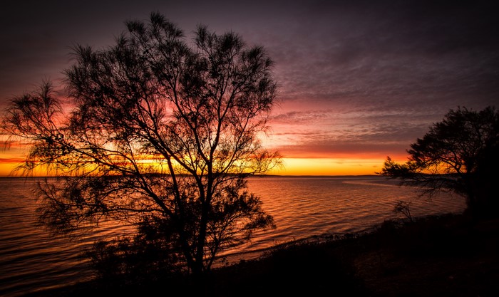 Sunset over water with silhouetted trees in Port Lincoln, Australia