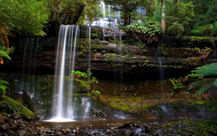 Waterfall in a lush green forest