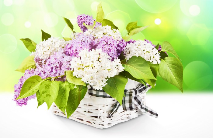 Lilac flowers in a wicker basket