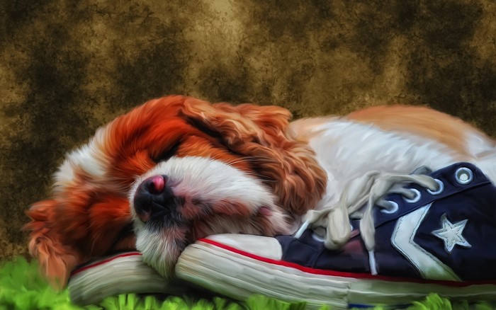 Painting of a sleeping King Charles Spaniel on a shoe