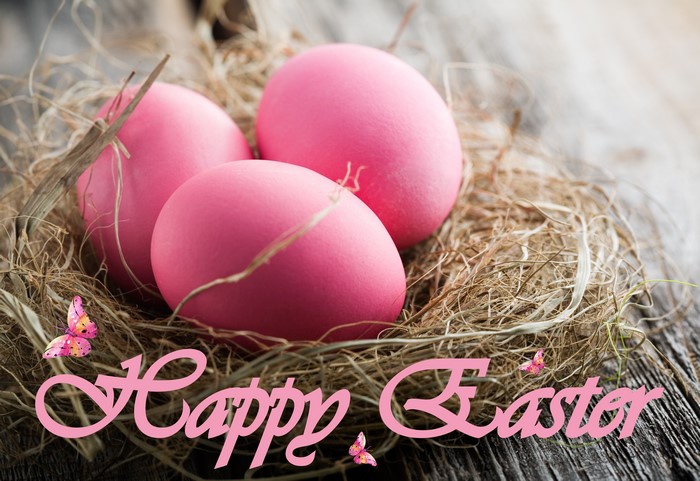 Happy Easter Pink Eggs in Nest