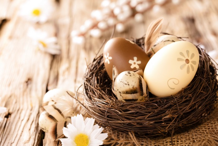 Easter eggs in a nest with daisies