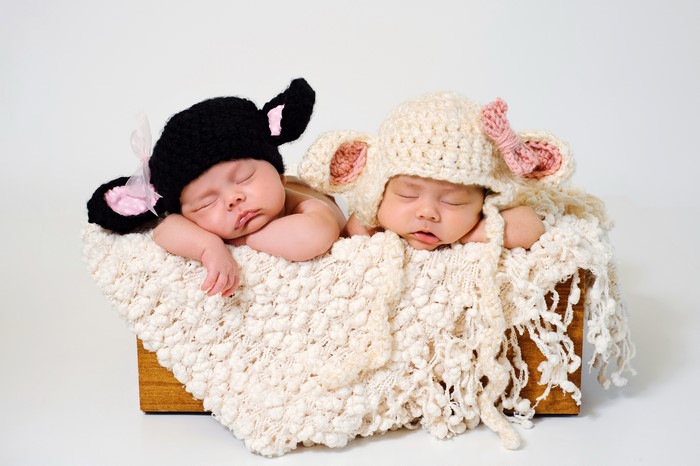 Two Newborn Babies Sleeping in Sheep Costumes
