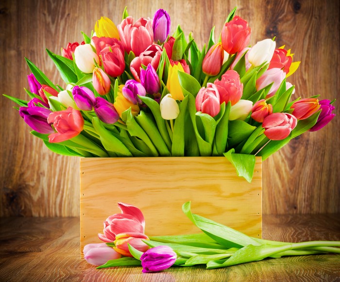 Many colorful tulips in a wooden box