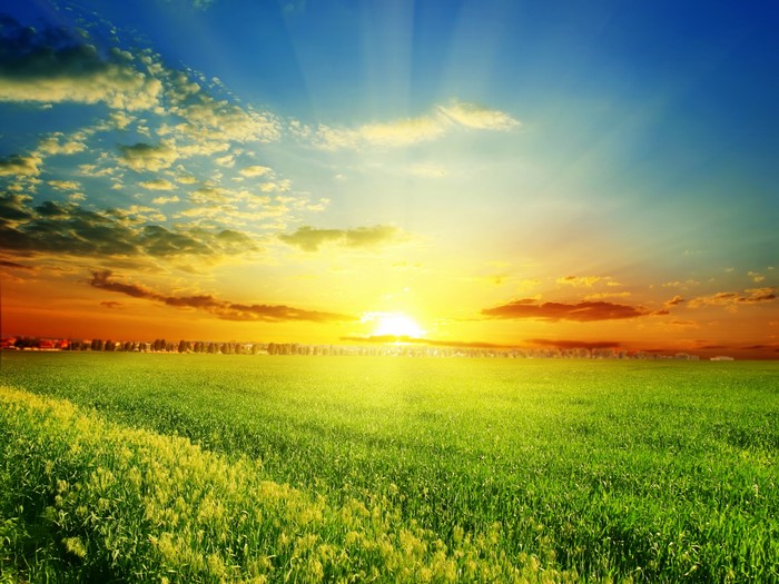 Scenery, Fields, Sunrises and sunsets, Sky, Clouds, Sun, HD Wallpaper ...