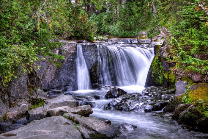 Waterfall flowing over rocks in a forest