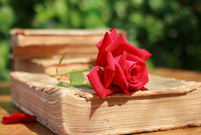 Red rose on old books