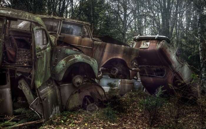Abandoned vintage cars in a forest
