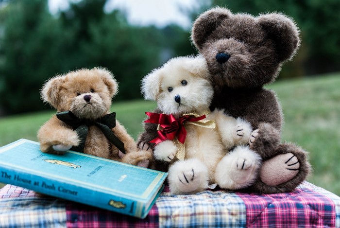 Three teddy bears and a book