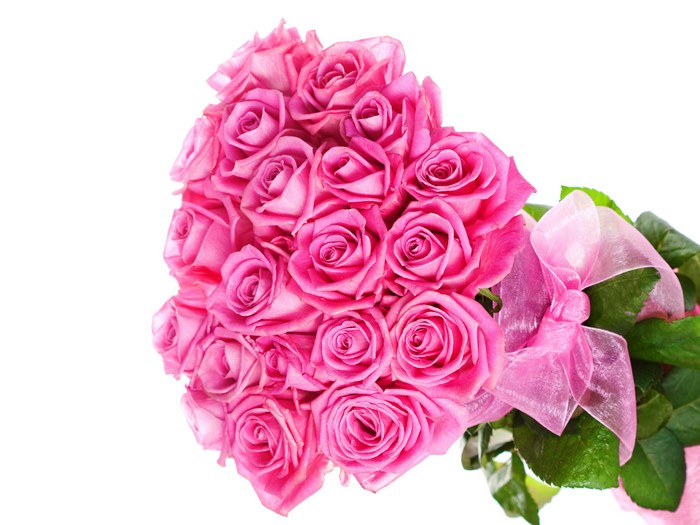 Bouquet of Pink Roses with Pink Bowknot