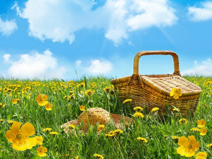 Picnic basket and hat in a field of dandelions