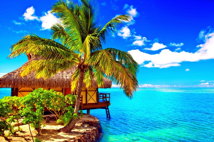 Tropical bungalow with palm trees on the sea